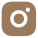 Instagram Icon