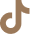 TikTok Icon