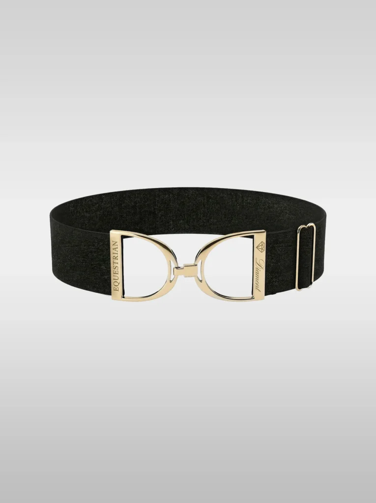 Diamont Stirrup Belt in sparkling black stardust elastic with a gold stirrup hook buckle