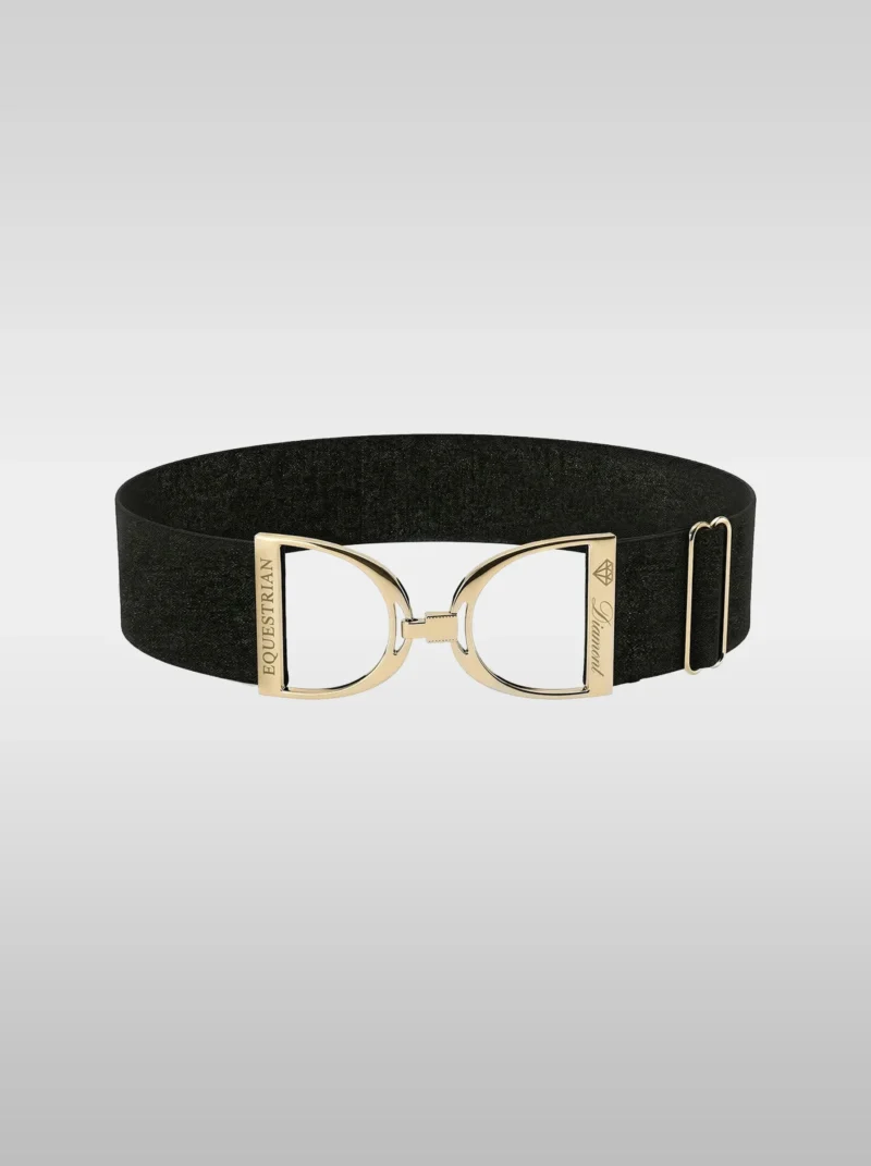 Diamont Stirrup Belt in sparkling black stardust elastic with a gold stirrup hook buckle