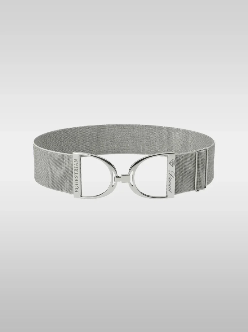 Diamont Stirrup Belt in sparkling silver stardust elastic with a silver stirrup hook buckle