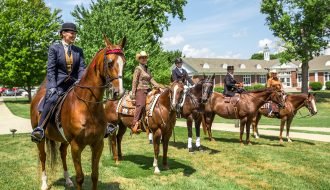 equestrian1440