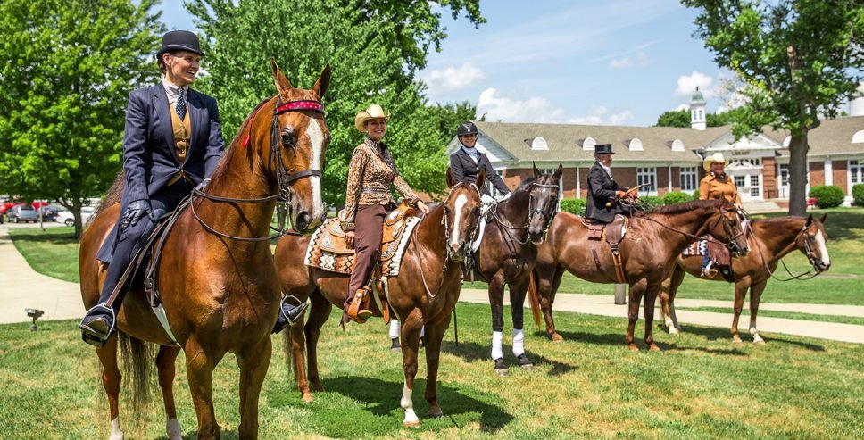 equestrian1440
