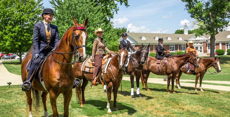 equestrian1440