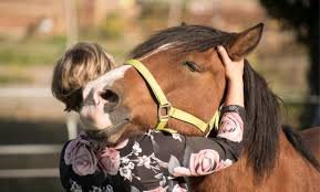 Horse hugs are the best hugs