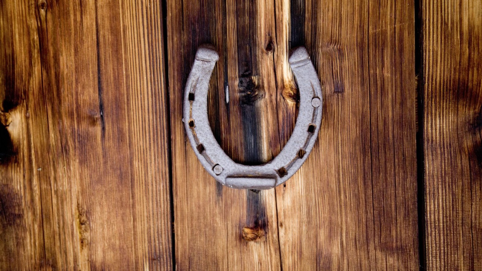 Horseshoe UP?