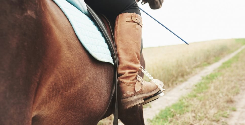 Equestrian Leather