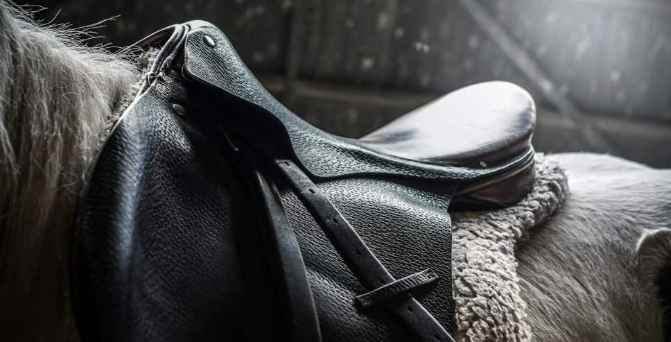 Saddle
