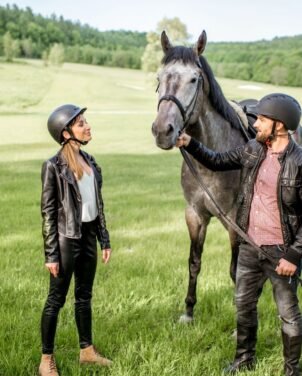 Horse Riding Basics