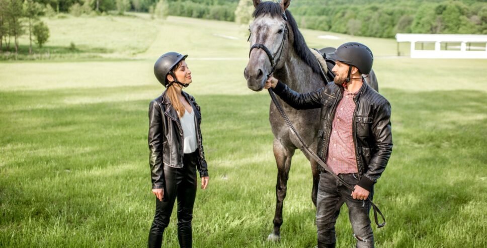 Horse Riding Basics