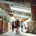 Horse Training