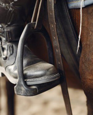 horse tack