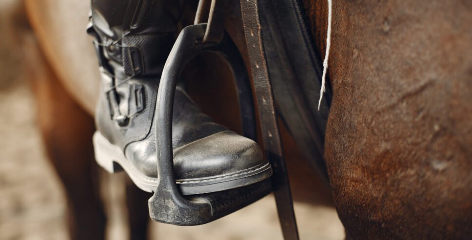 horse tack